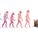 Illustration for article titled COTD: Human Evolution Edition
